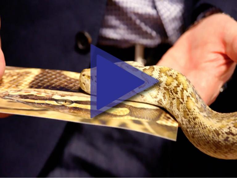 The Power of Sense and Touch