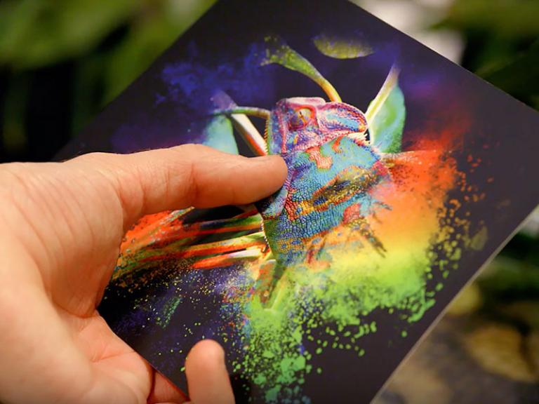 C-Copy Talk Why They Love Their DuSense