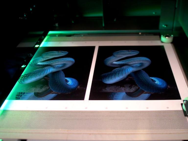 Profiting from DuSense in Milan, Italy