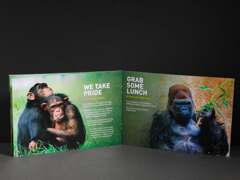 zoo brochure