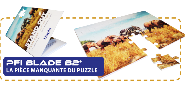 b2+ pièce manquante