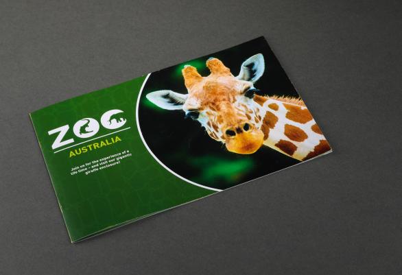 zoo booklet