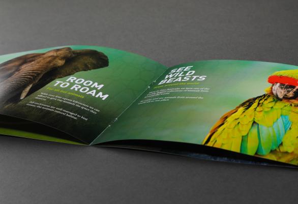 Zoo booklet