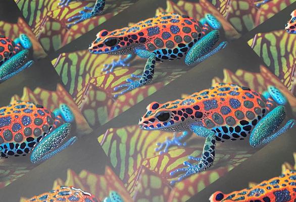 Spot UV Frog Business cards
