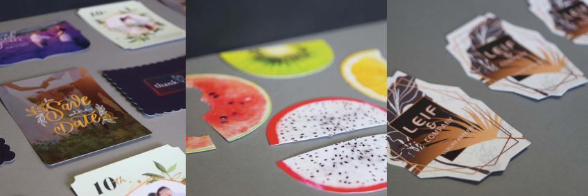 application pfi di cut 310